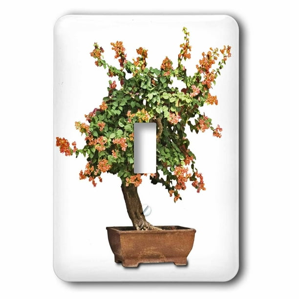 3dRose Lsp_13926_1 Penjing Bonsai with Orange Flowers Single Toggle Switch 3dRose Lsp_13926_1 Penjing Bonsai with Orange Flowers Single Toggle Switch